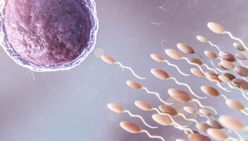 intracytoplasmic_sperm_injection_img